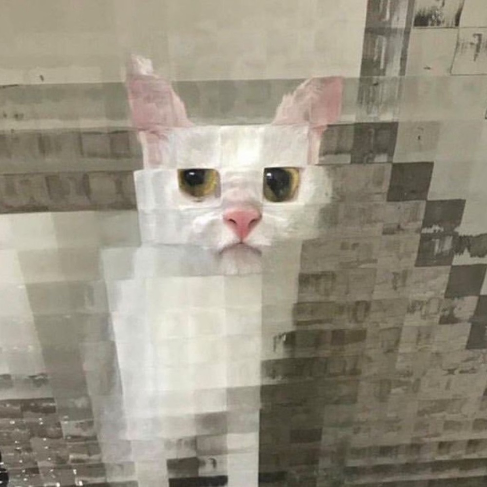 Meet your Posher, Zora